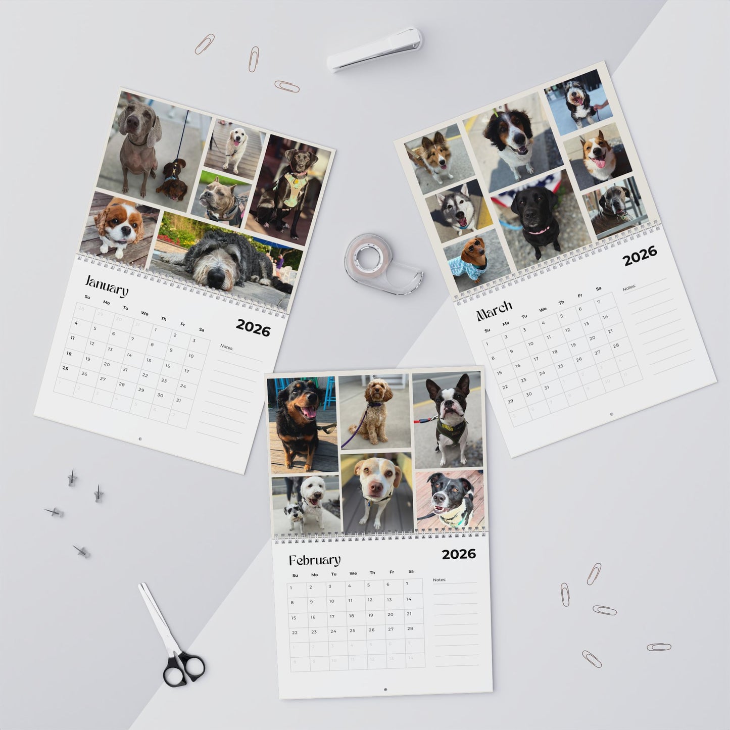 2026 Tails of Dewey Calendar