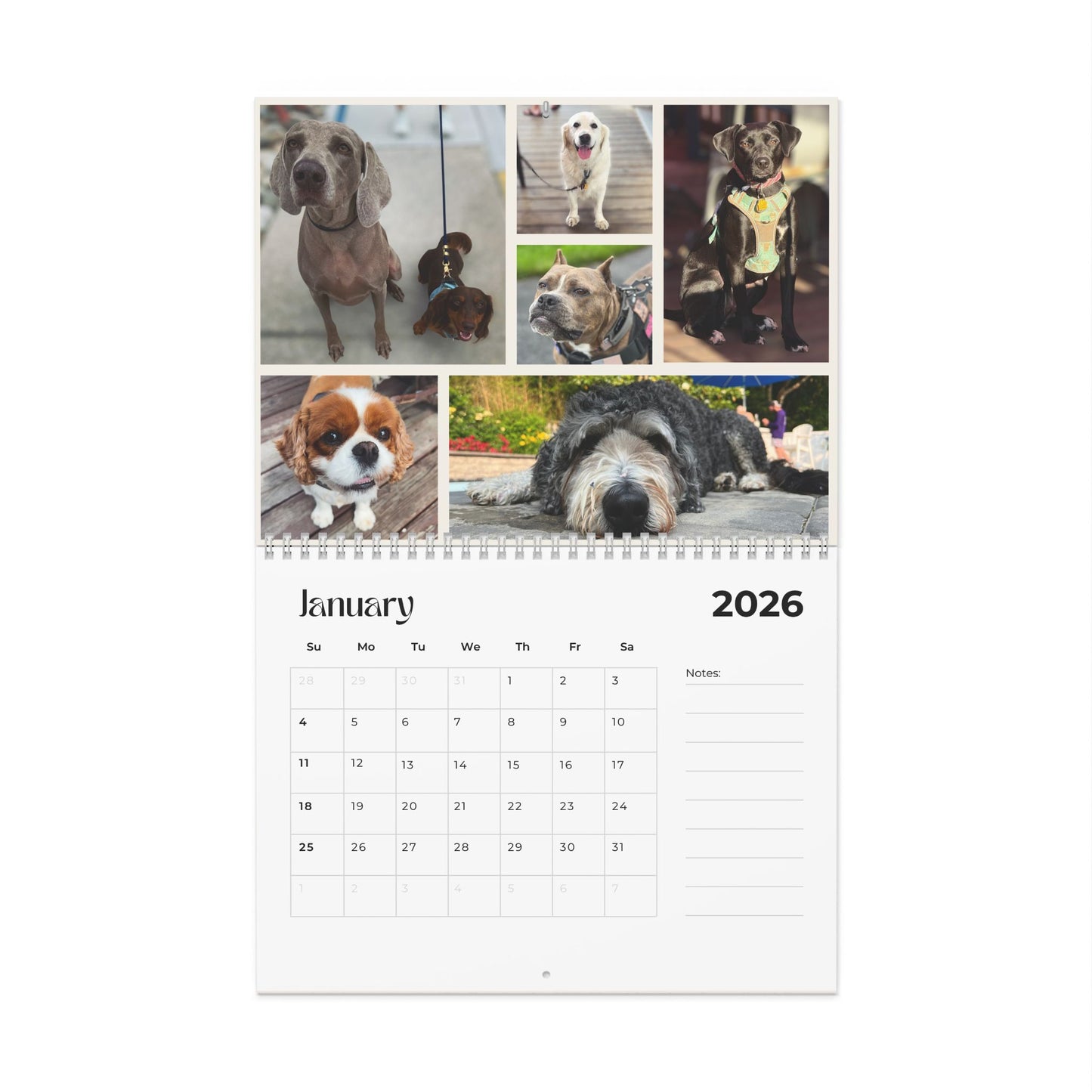 2026 Tails of Dewey Calendar