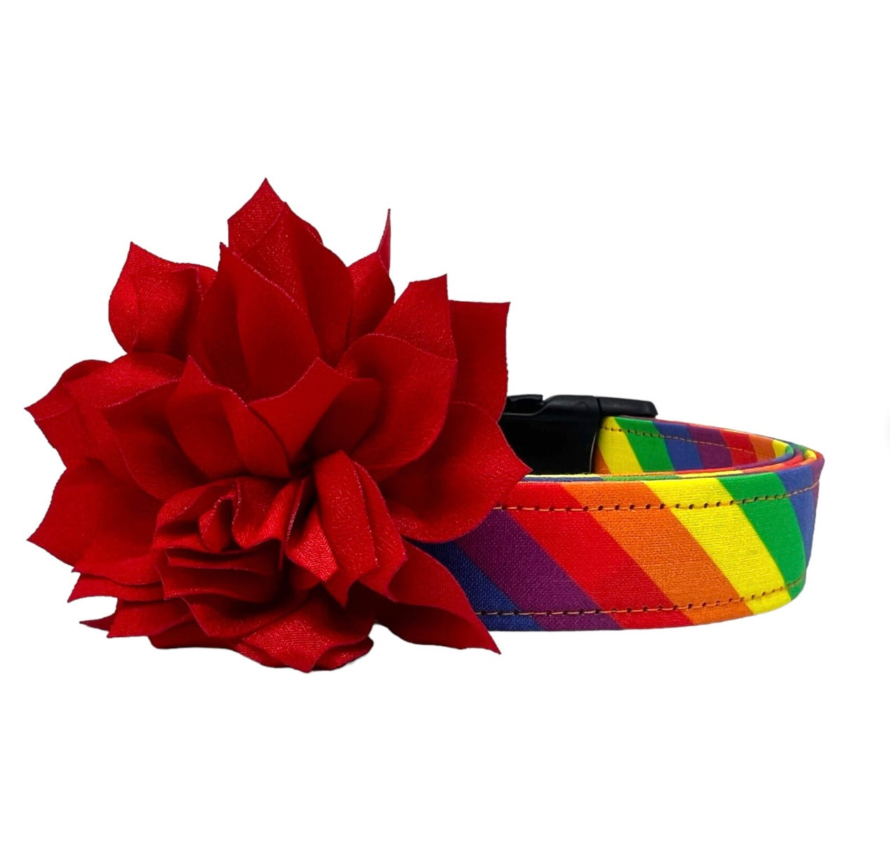 Rainbow Stripe Dog with Flower