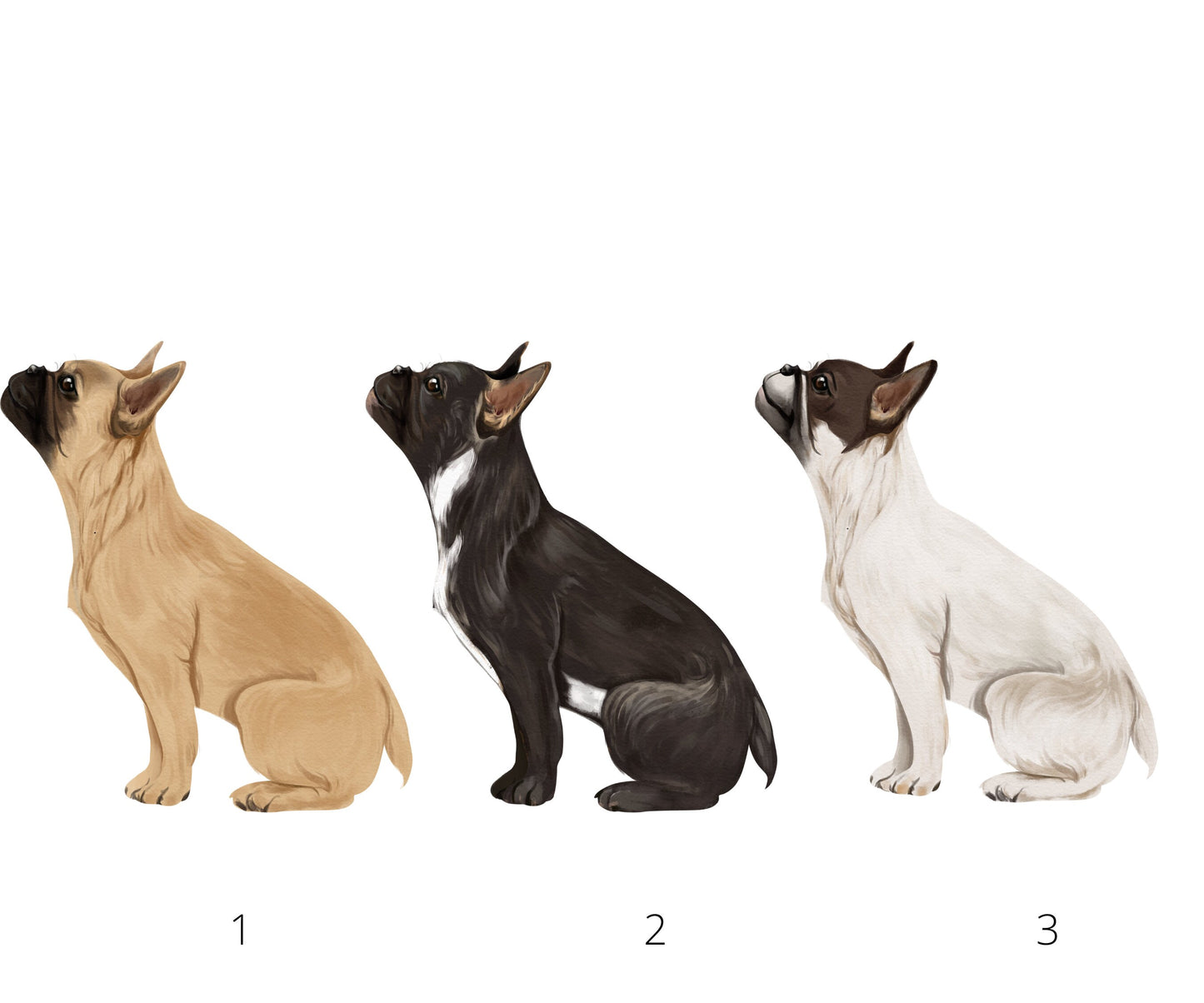 Personalized French Bulldog Christmas Stocking