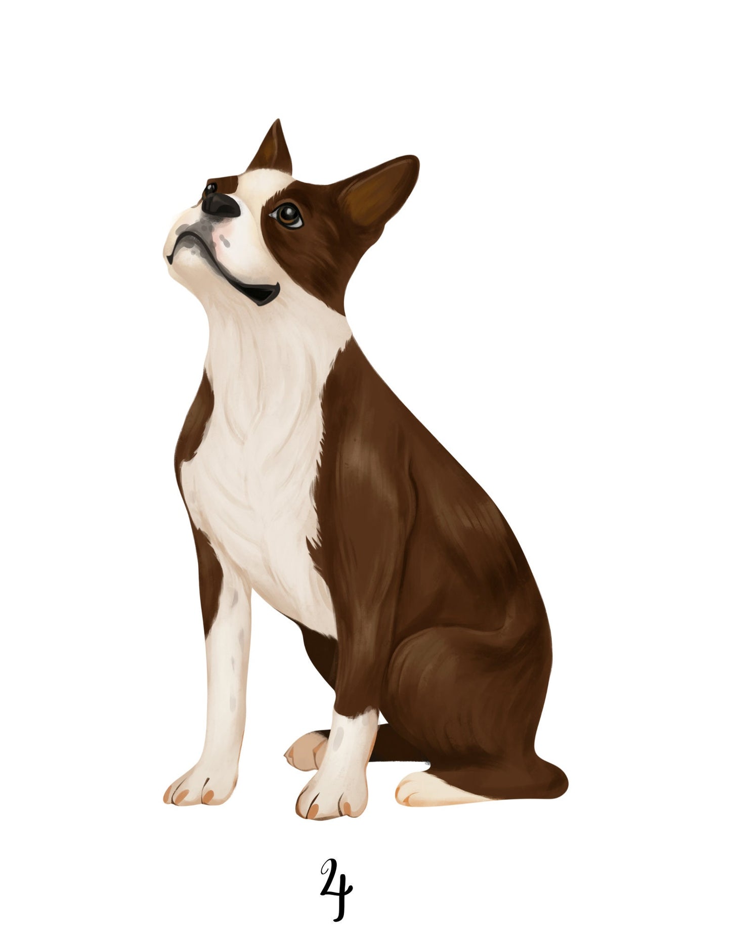 Personalized Boston Terrier Dog Christmas Stocking