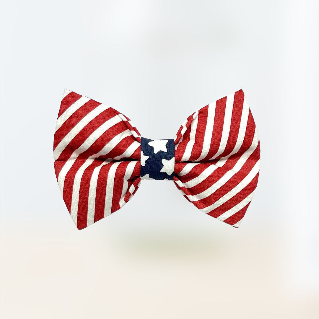 Patriotic Stars & Stripe Bow Tie