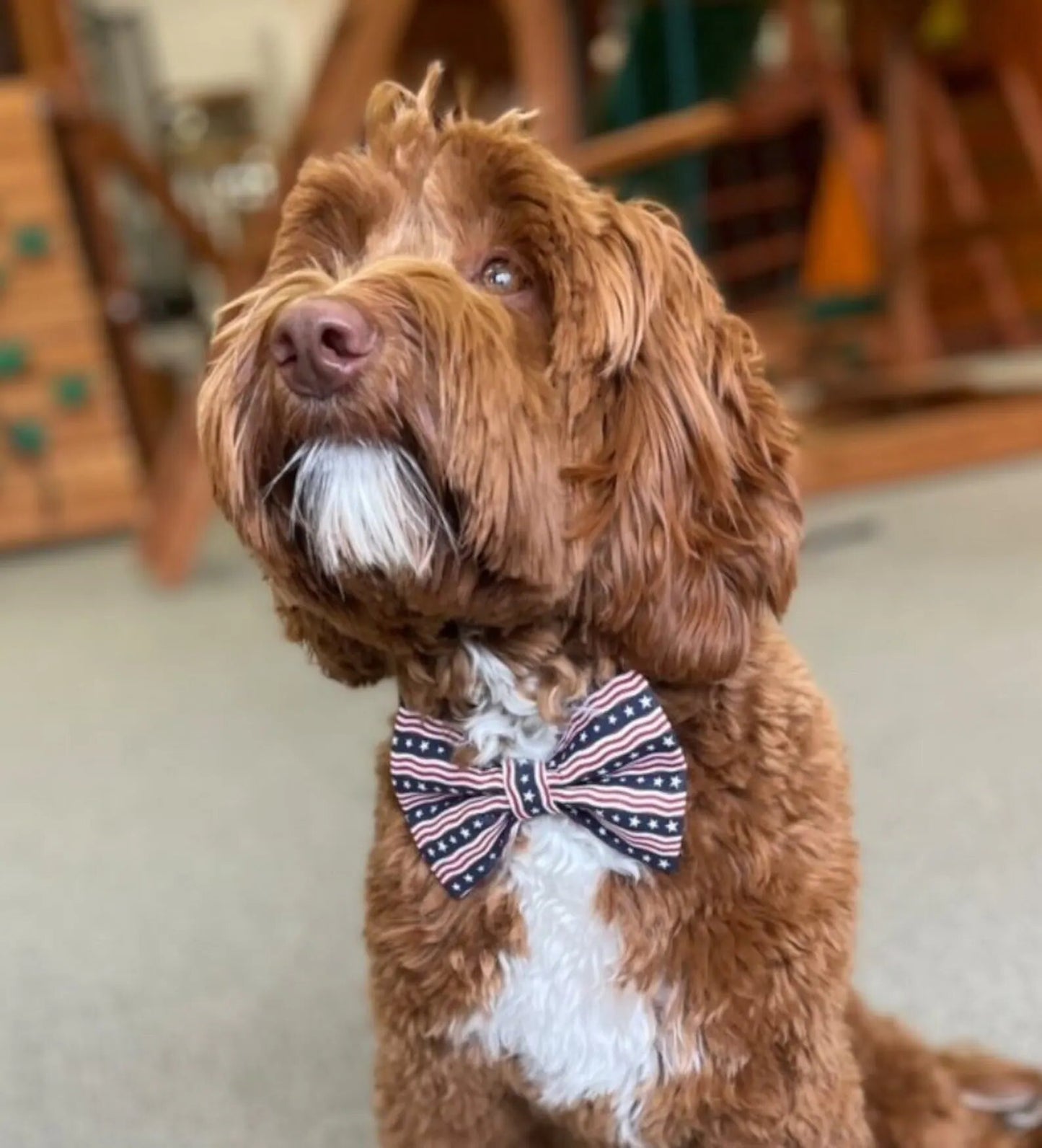 Patriotic Dog Bow Tie