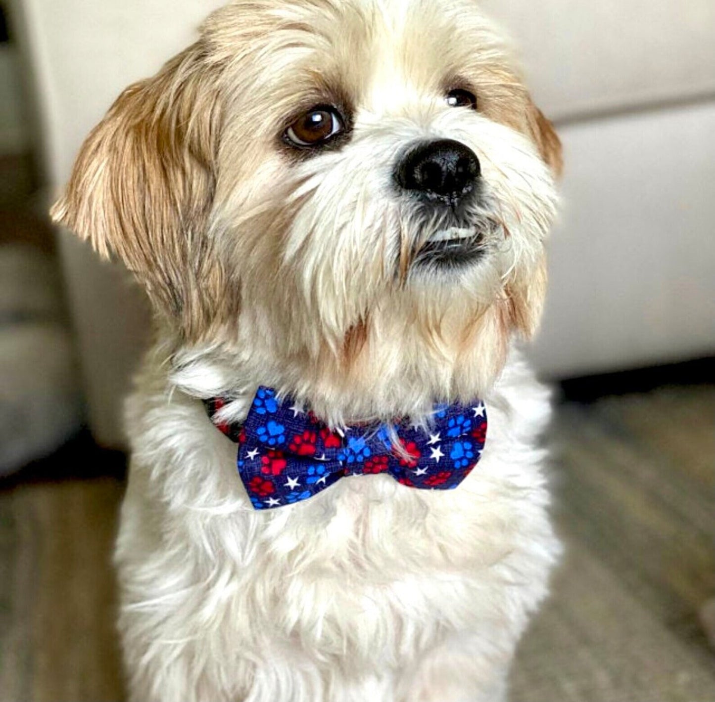 Patriotic Paw Print Bow Tie