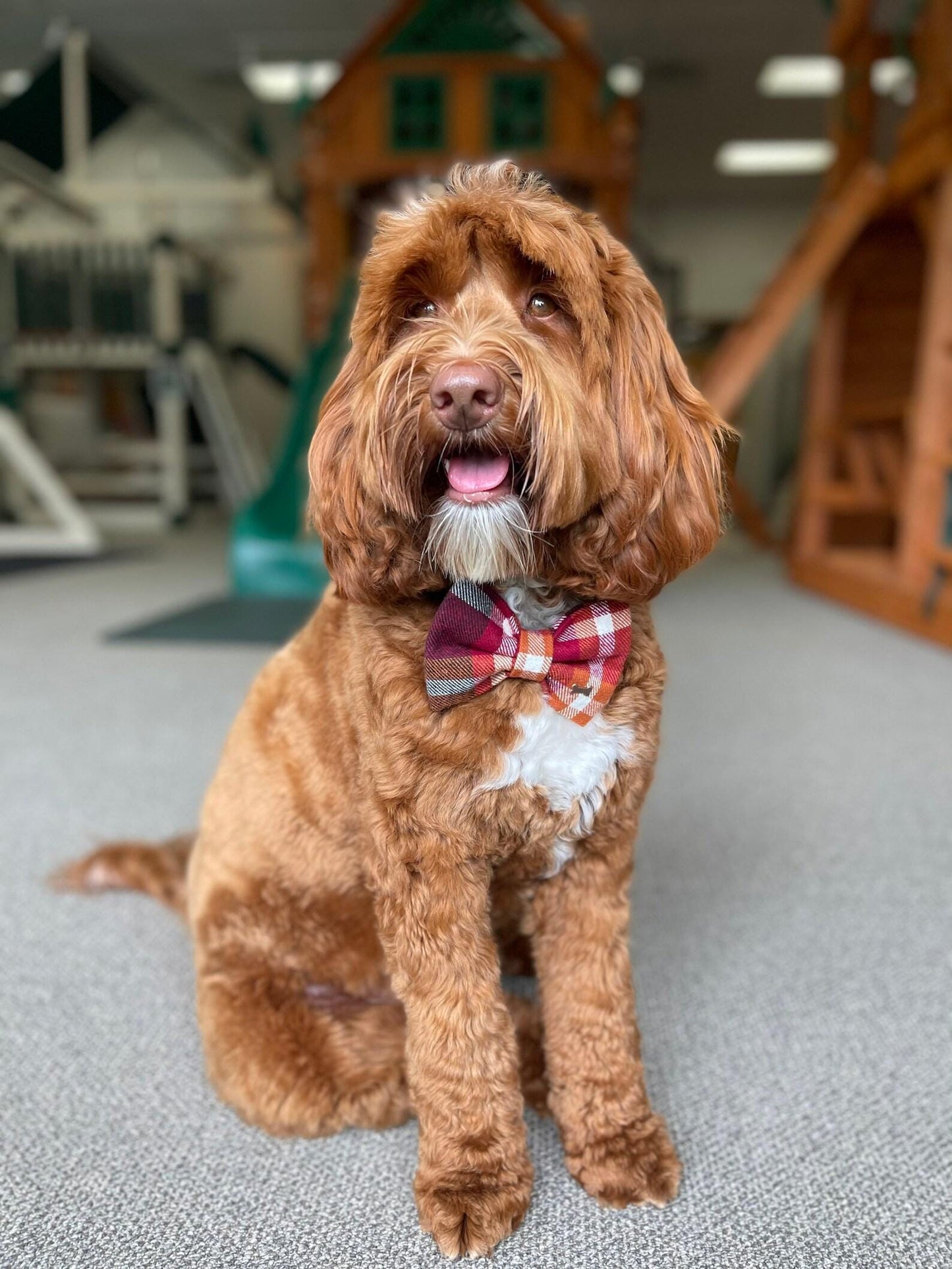 Fall Flannel Bow Tie