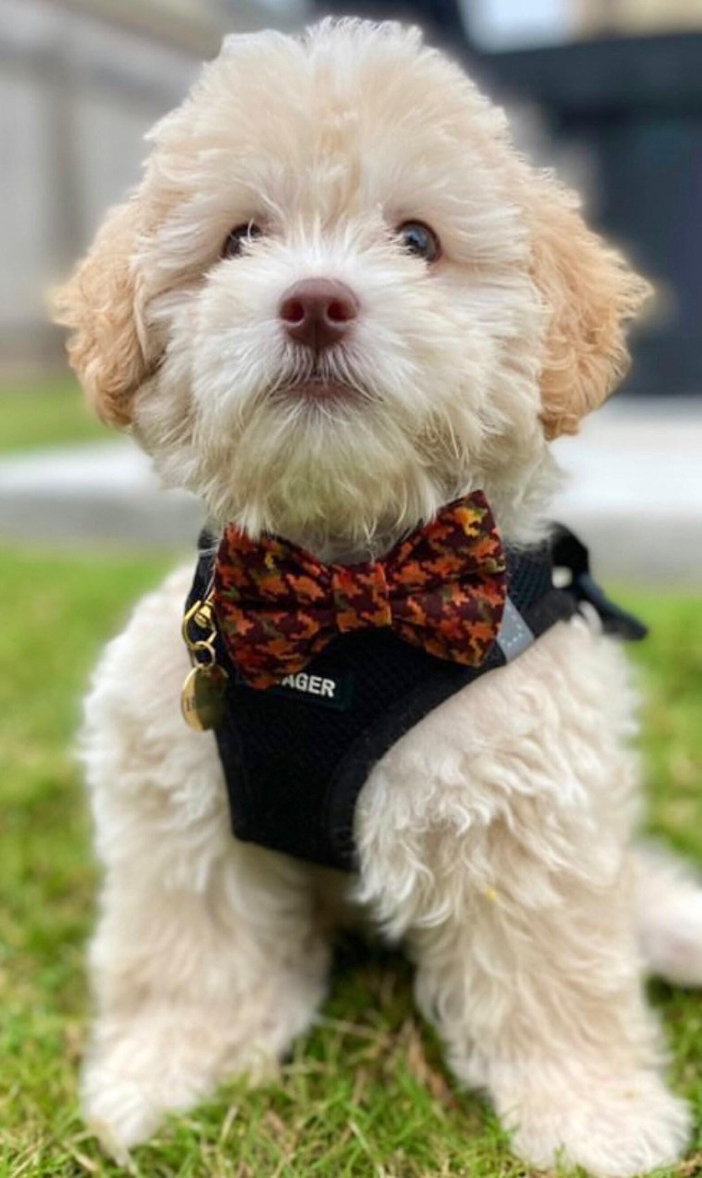 Fall Houndstooth Bow Tie