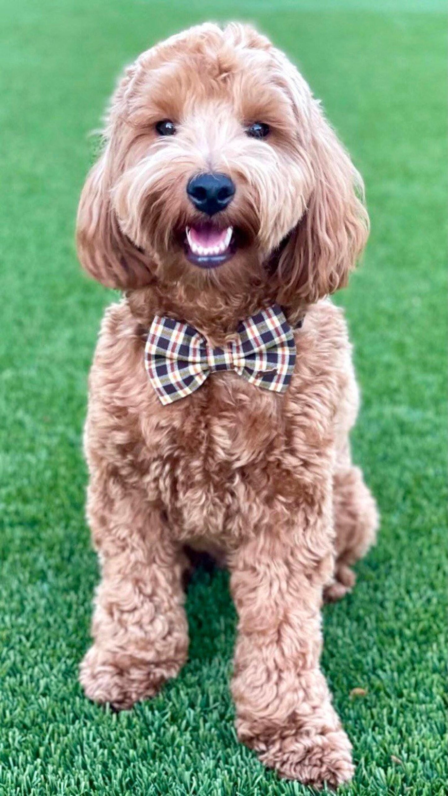 Fall Plaid Dog Bow Tie