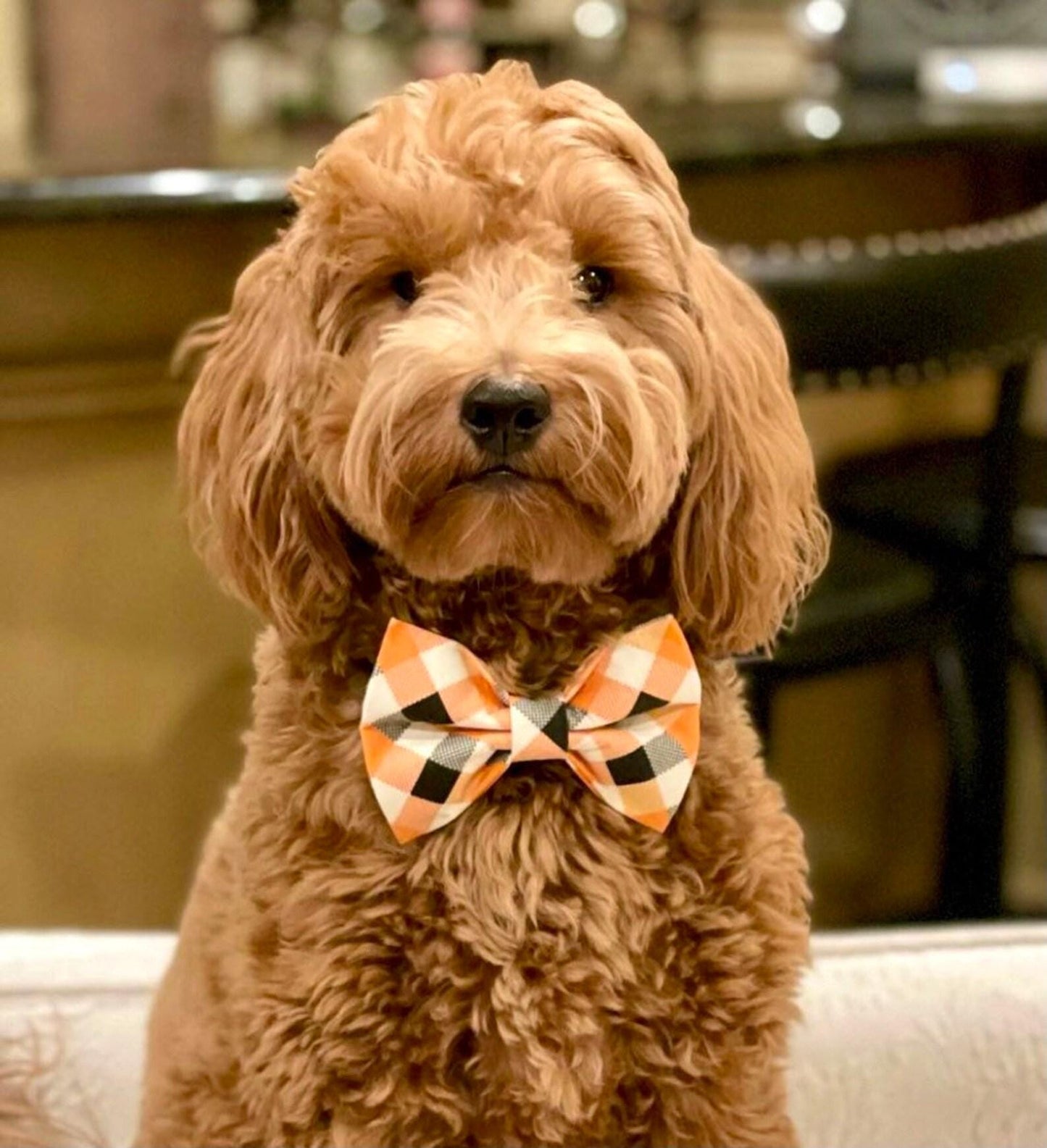 Halloween Bow Tie