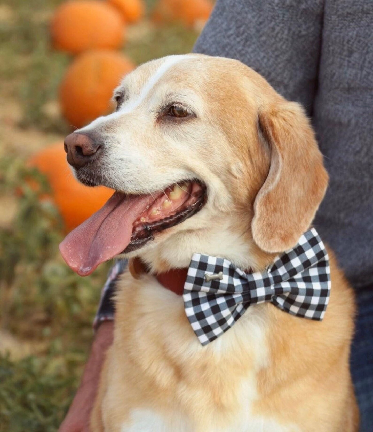 Black & White Plaid Dog Bow Tie