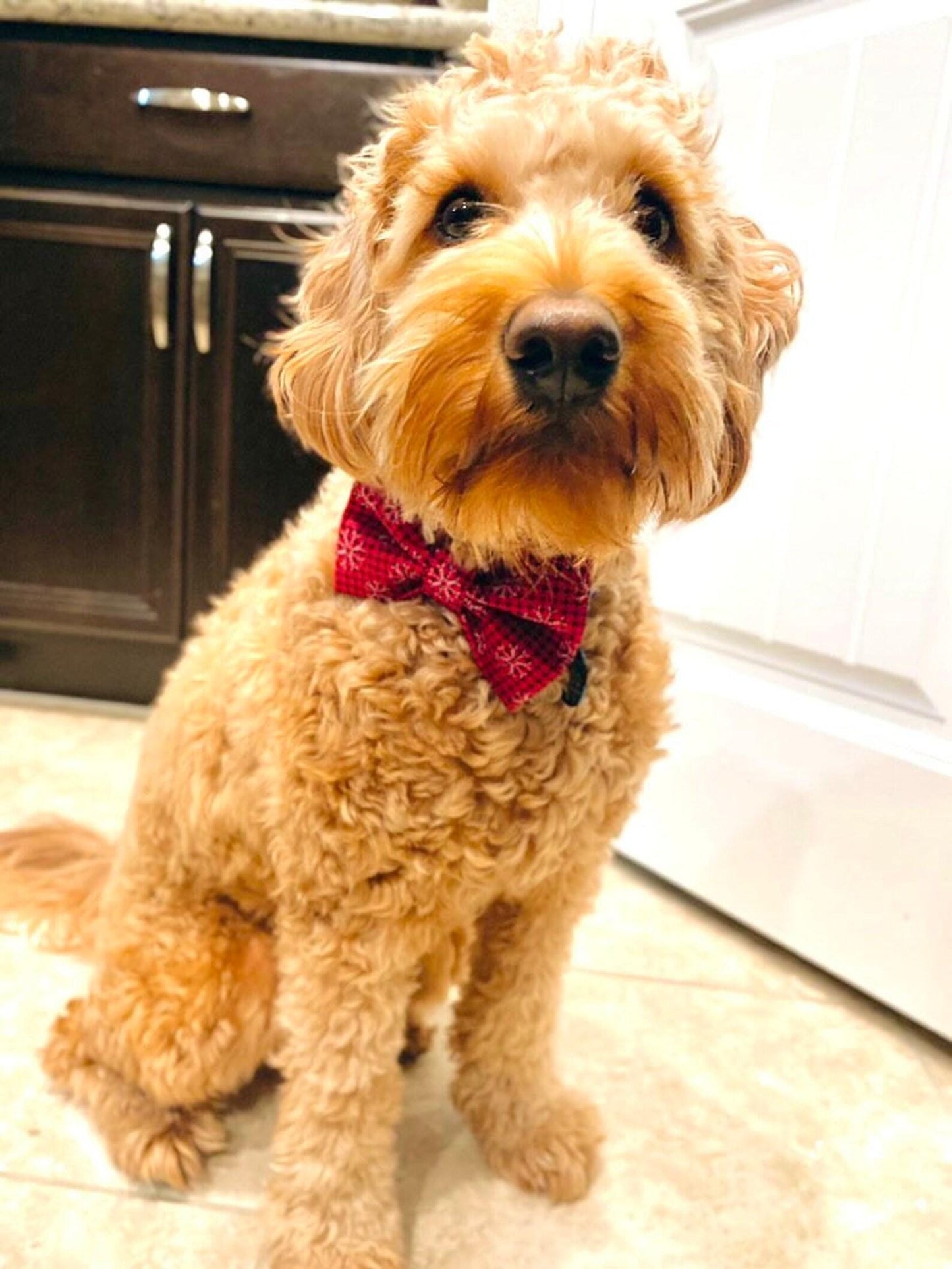 Plaid Snowflake Bow Tie