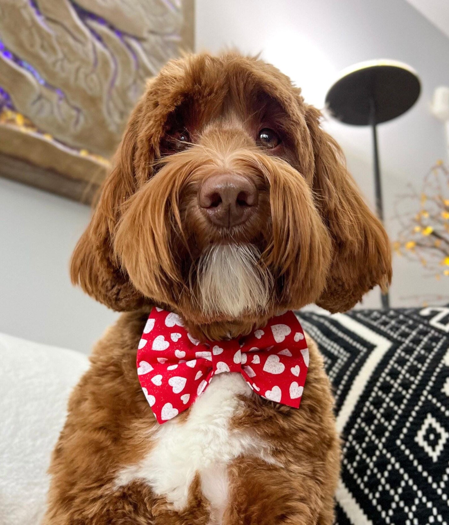 Valentine's Day Heart Bow Tie