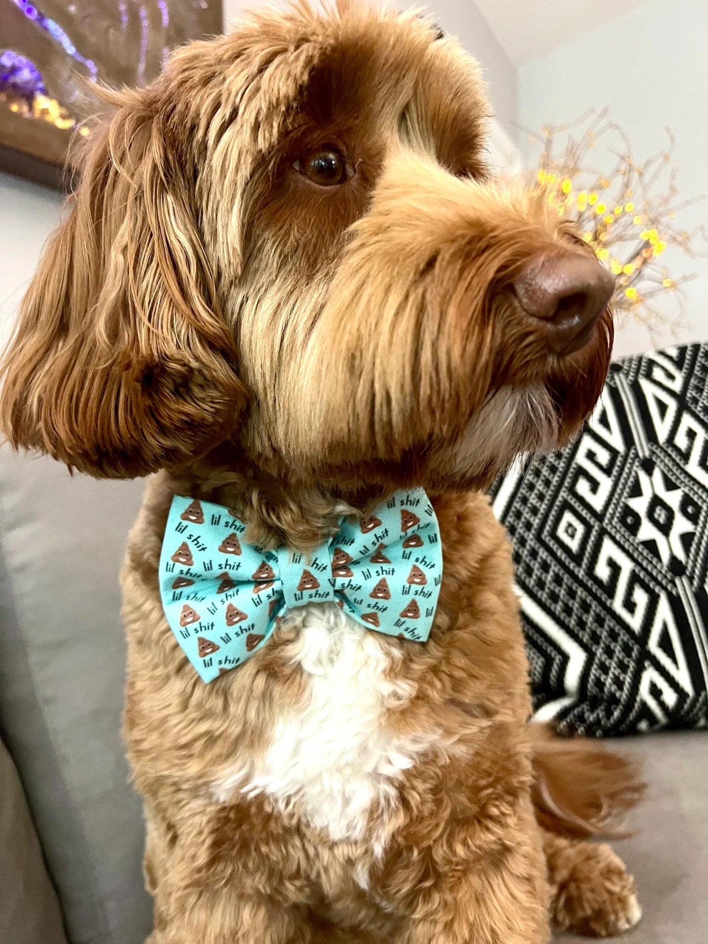 Aqua dog bow tie with the phrase “Lil Shit” and playful poop emojis, designed for pups with big attitudes and a sense of humor.