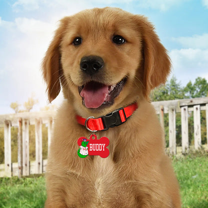 Red bone-shaped dog tag featuring the Phillie Phanatic mascot and the name "Buddy," attached to a black dog collar