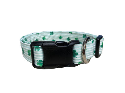 St. Patrick's Stripe Shamrock Dog Collar with Embellishment