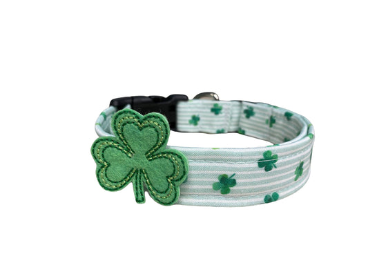 St. Patrick's Stripe Shamrock Dog Collar with Embellishment