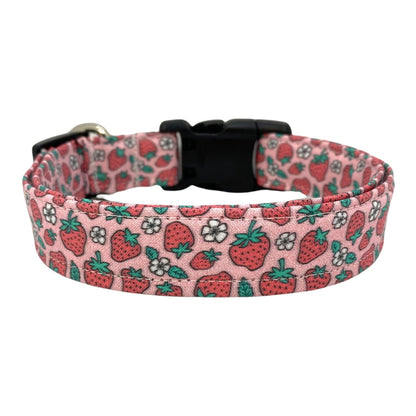 Strawberry Dog Collar with Embellishment