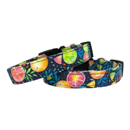 Citrus Fruit Dog Collar with Flower