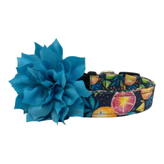 Citrus Fruit Dog Collar with Flower