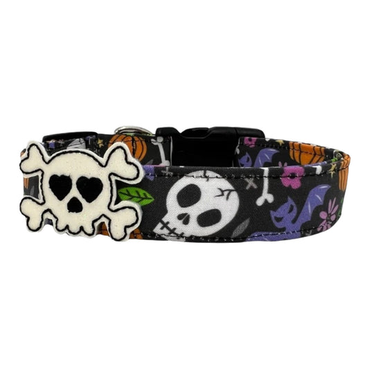 Halloween Skull Dog Collar with Skull Dog Collar Embellishment