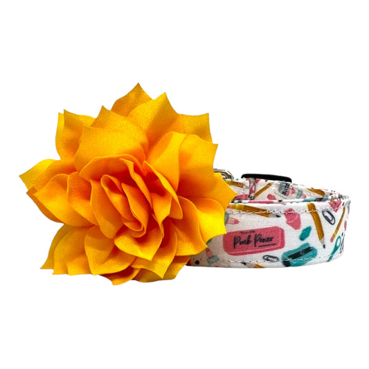 Back To School Dog Collar with Flower