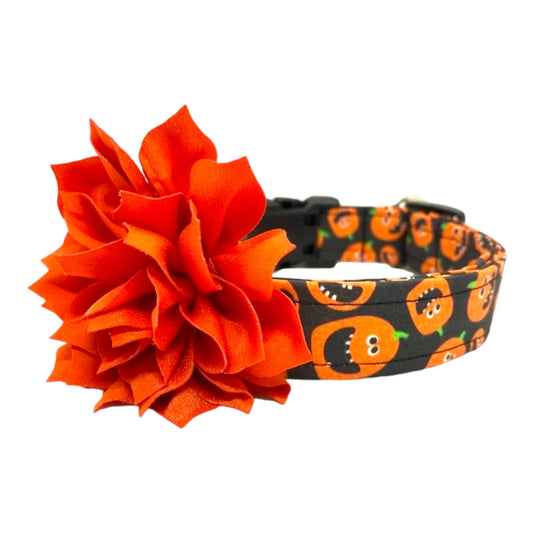 Dog collar with orange flower and Halloween-themed design on a white background