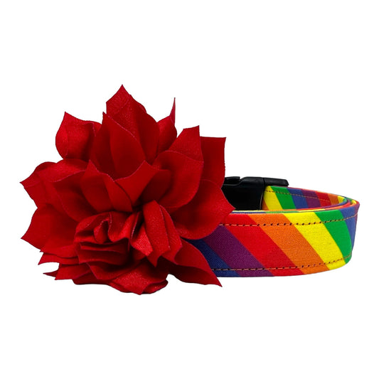 Rainbow Stripe Dog Collar with Red Dog Collar Flower
