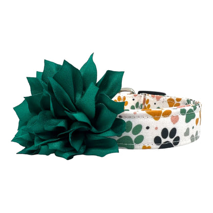 Paw Print Dog Collar with Jade Dog Collar Flower