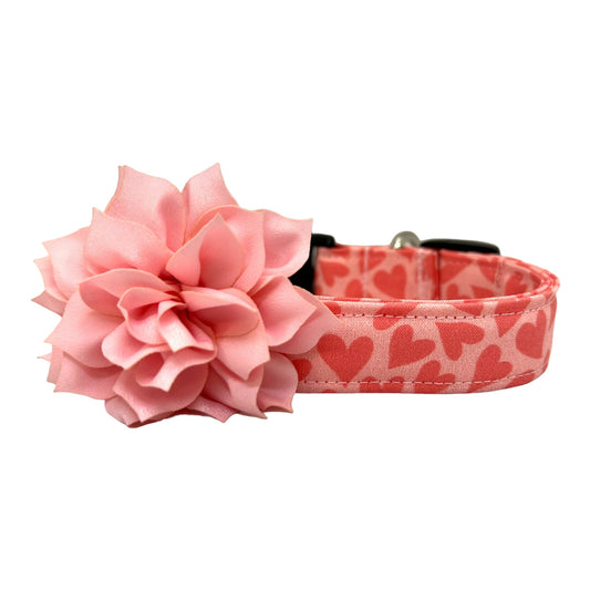 Pink Valentine’s Day dog collar with heart pattern and removable light pink flower embellishment attached to a sturdy pet collar