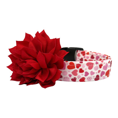 Valentine’s Day dog collar featuring red and pink hearts in various sizes, heart-themed pet collar shown flat, shown with removable red dog collar flower.