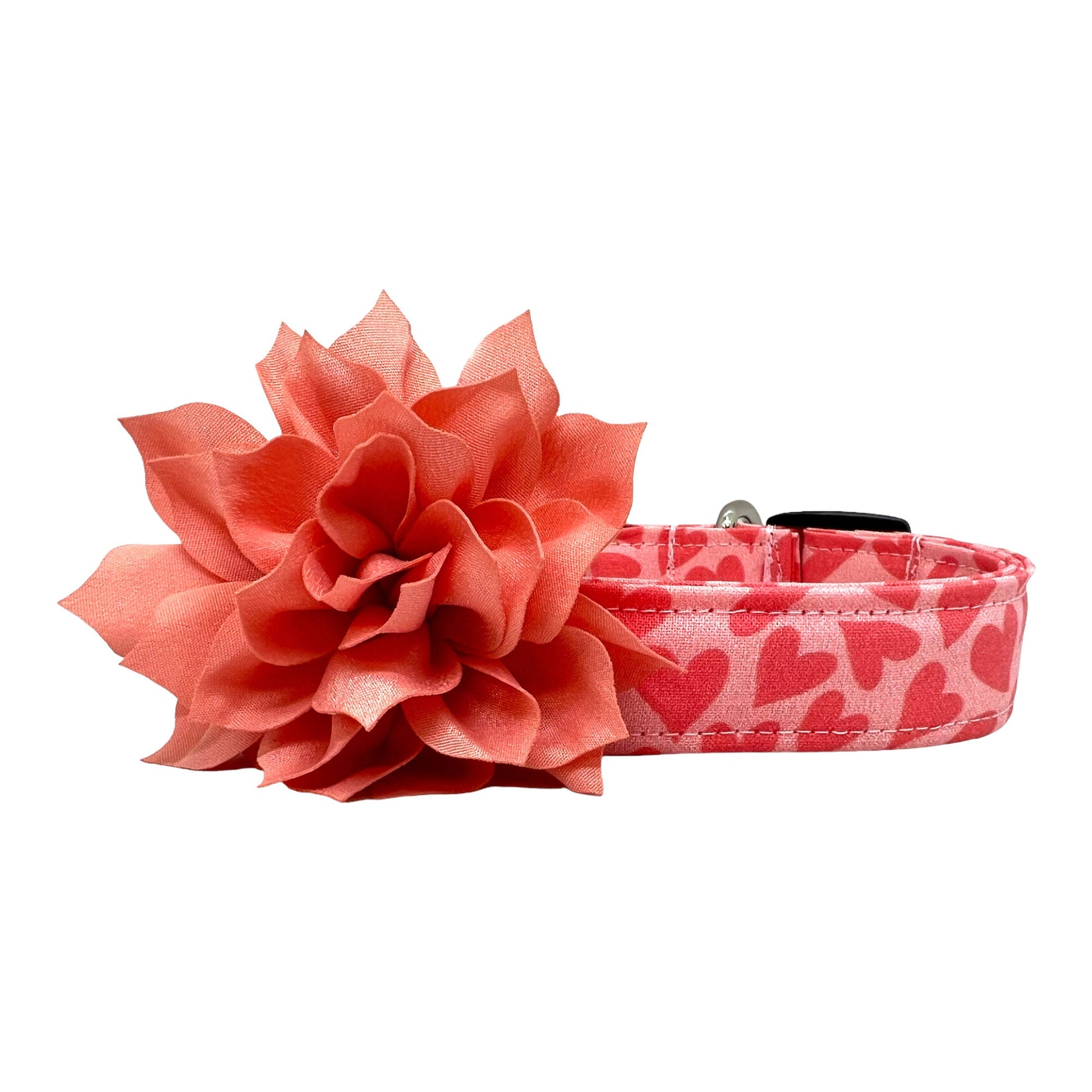 Pink Valentine’s Day dog collar with heart pattern and removable petal peach dog collar embellishment attached to a sturdy pet collar
