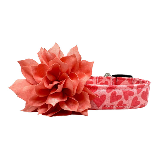 Pink Valentine’s Day dog collar with heart pattern and removable petal peach dog collar embellishment attached to a sturdy pet collar
