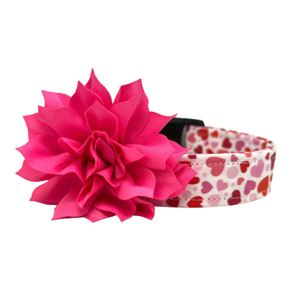 Valentine’s Day dog collar featuring red and pink hearts in various sizes, heart-themed pet collar shown flat, shown with removable hot pink dog collar flower.