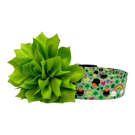 St. Patrick's Day Leprechaun Dog Collar with Dog Collar Flower