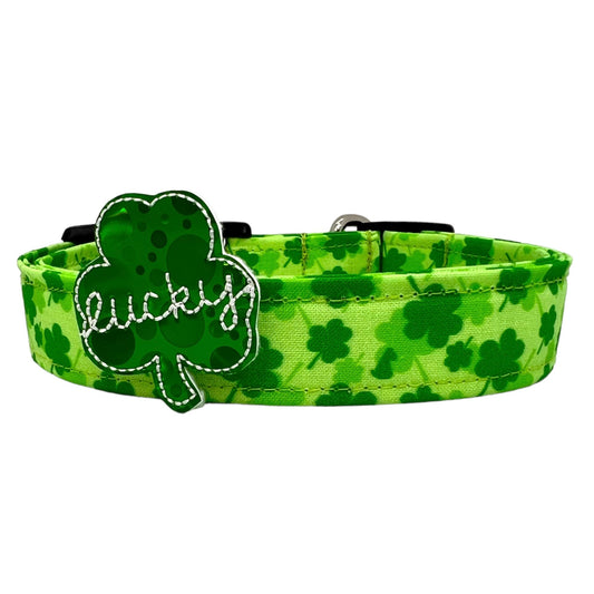 St. Patrick's Day Dog Collar with Shamrock Embellishment
