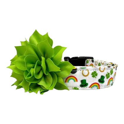St. Patrick's Day Dog Collar with Flower