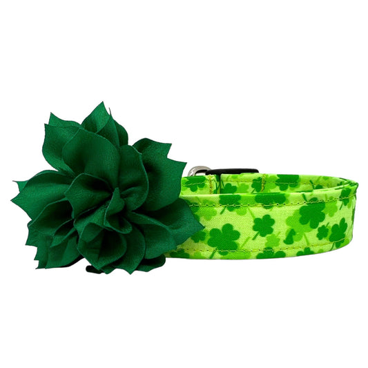 St. Patrick's Day Dog Collar with Flower