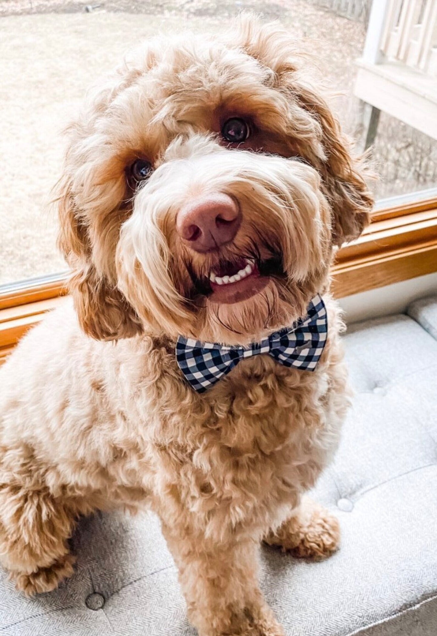 Black & White Plaid Dog Bow Tie