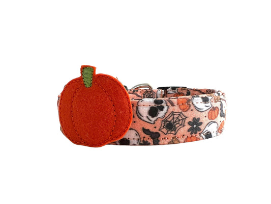 Halloween dog collar with skulls, bats, witches, pumpkins, and a detachable felt pumpkin embellishment.