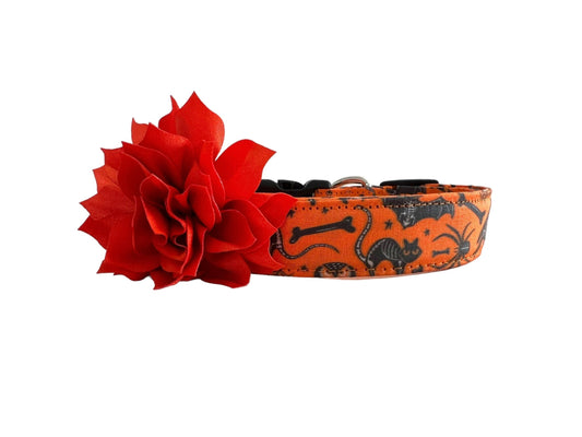 Halloween dog collar with x-ray designs of bats, owls, rats, ravens, and crossbones, shown with a orange removable flower.