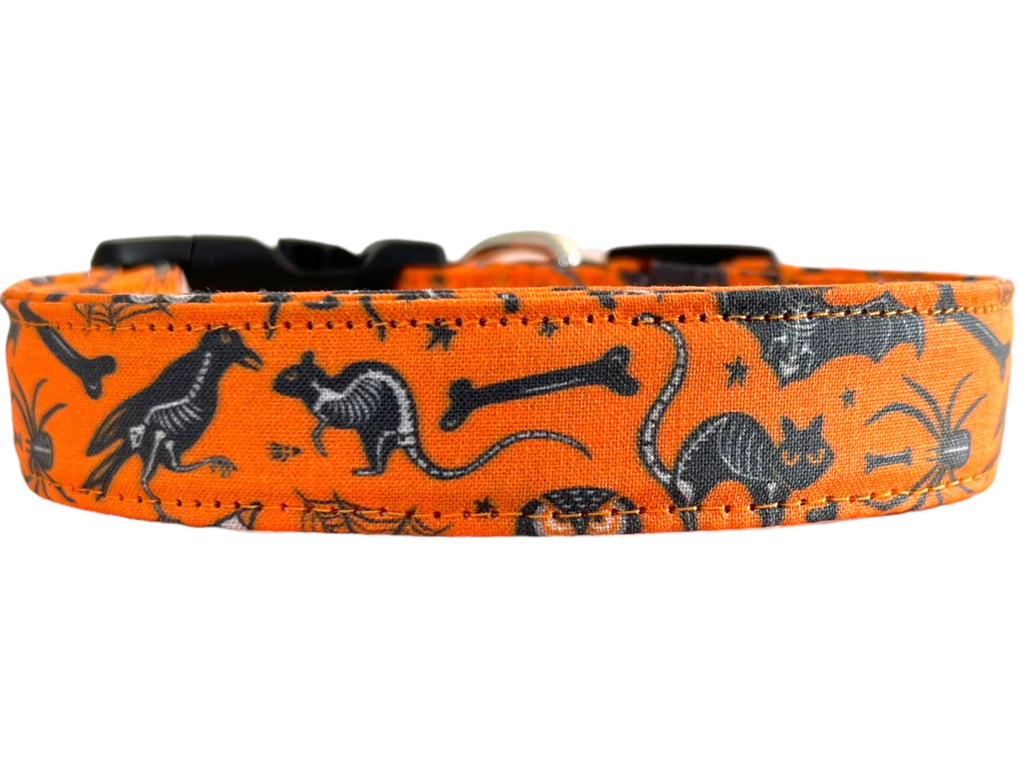 Halloween dog collar with x-ray designs of bats, owls, rats, ravens, and crossbones.