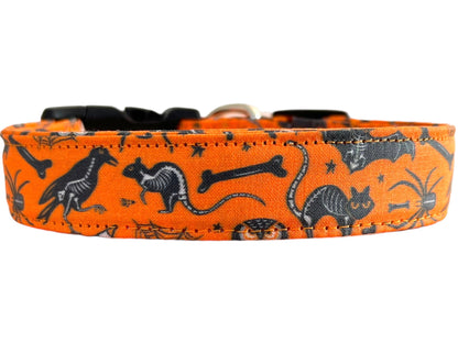 Halloween dog collar with x-ray designs of bats, owls, rats, ravens, and crossbones.