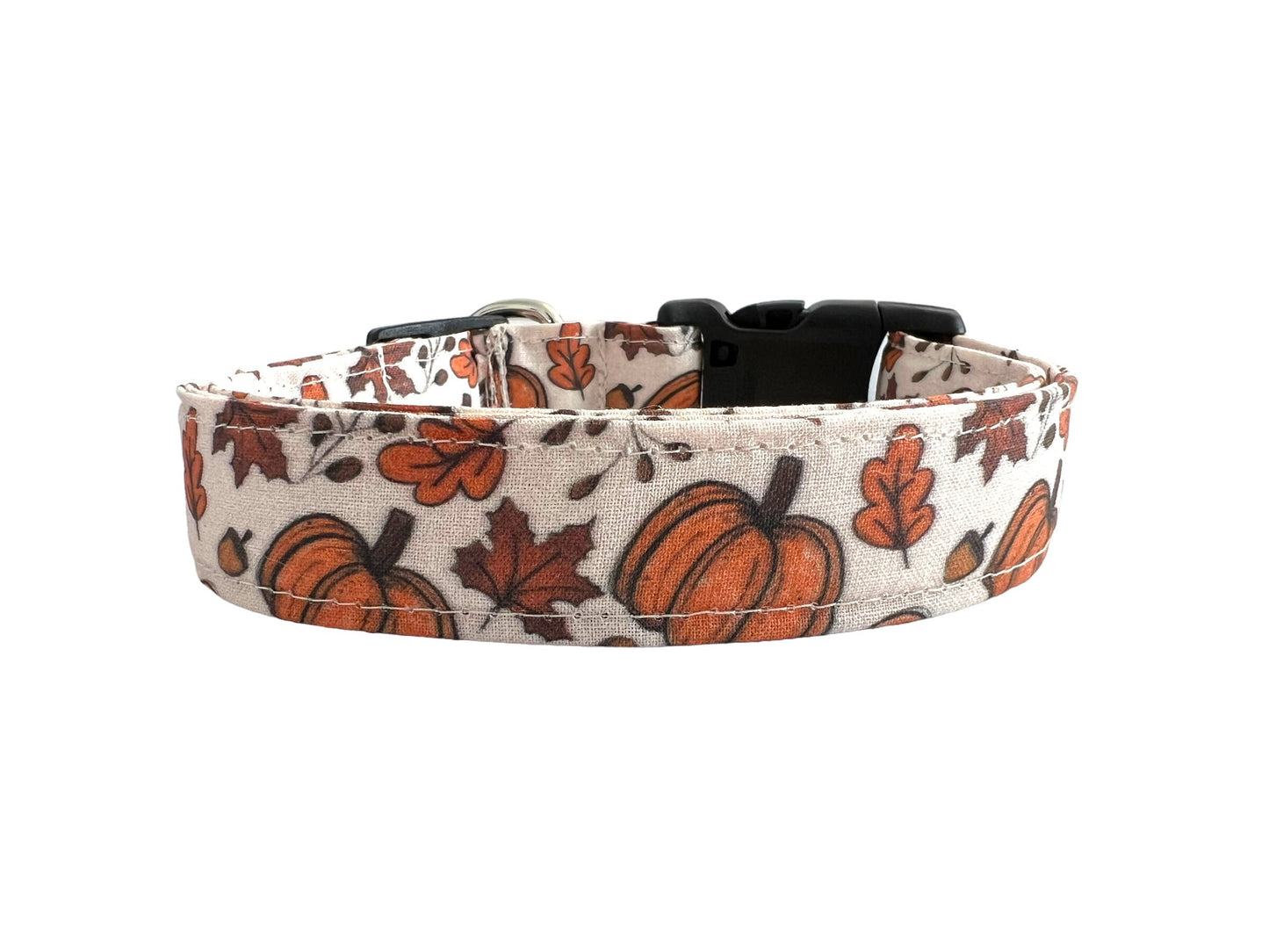 Fall Pumpkin Dog Collar with Flower