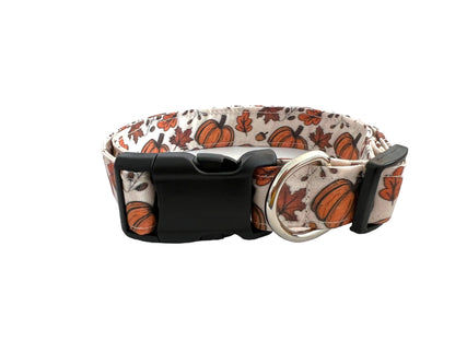 Fall Pumpkin Dog Collar with Flower