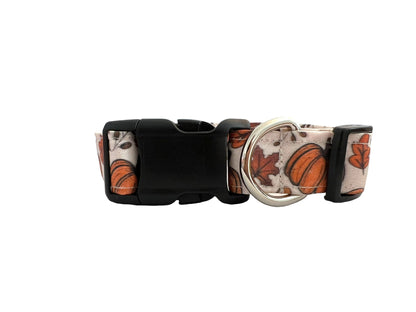 Fall Pumpkin Dog Collar with Flower
