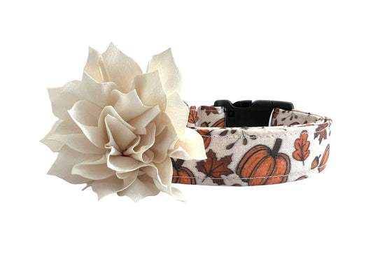 Fall Pumpkin Dog Collar with Flower
