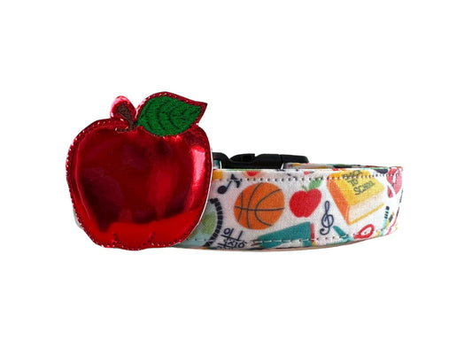 School Subjects Dog Collar with Embellishment
