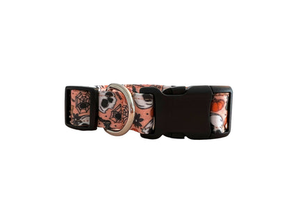 Halloween Dog Collar, Spider Dog Collar, Skull Dog Collar, Fall Dog Collar, Trick or Treat Dog Collar, Pumpkin Dog Collar, Bat Dog Collar