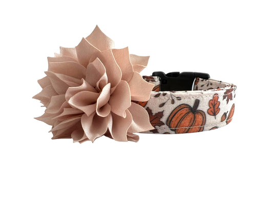 Fall Pumpkin Dog Collar with Flower