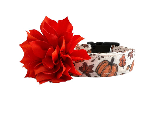 Fall Pumpkin Dog Collar with Flower