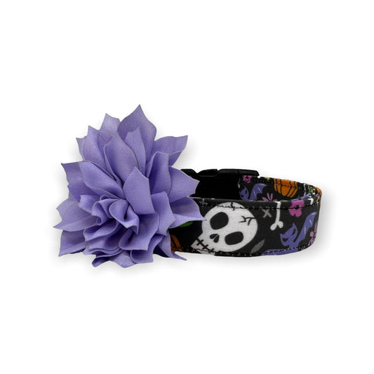 Halloween Skull Dog Collar with Light Lavender Dog Collar Flower